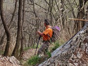 In Canto Alto (1146 m) da Ripa-Zogno ad anello fiorito il 10 aprile 2025 - FOTOGALLERY